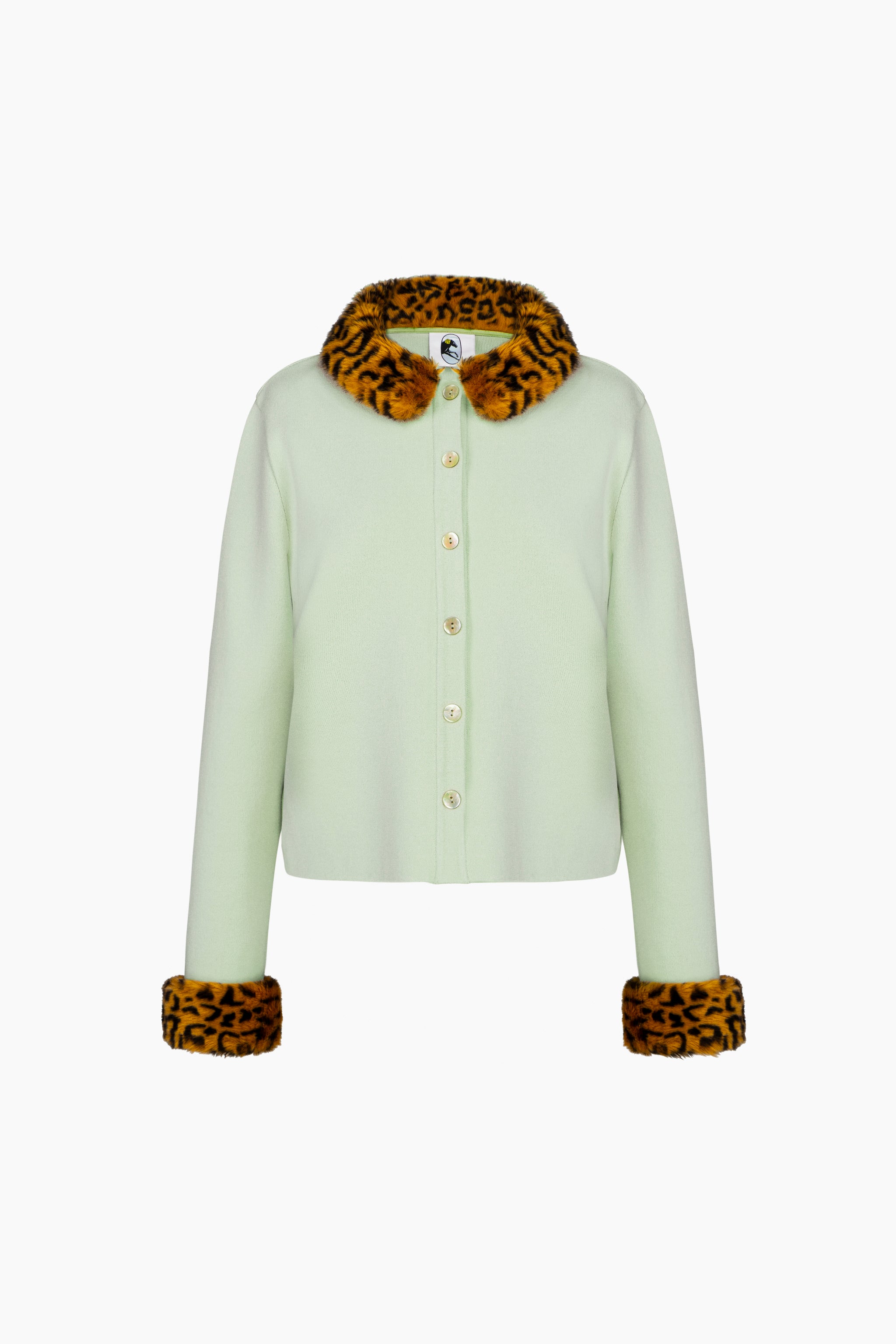 Carmela Knitted Cardigan in Mint